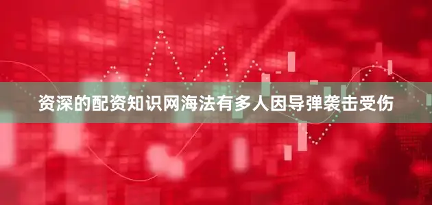 资深的配资知识网海法有多人因导弹袭击受伤