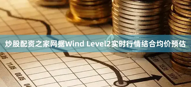 炒股配资之家网据Wind Level2实时行情结合均价预估